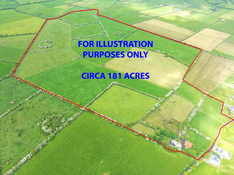 Price tag of €2.5m for substantial holding in the heart of the Golden Vale Price tag of €2.5m for substantial holding in the heart of the Golden Vale