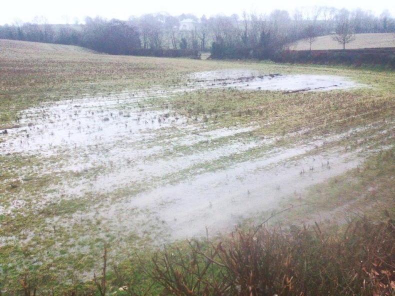 Reducing nutrient loss to rivers via overland flow Reducing nutrient loss to rivers via overland flow