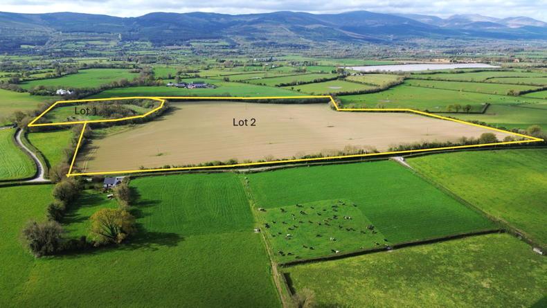 Auction Watch: A preview of the coming week under the hammer Auction Watch: A preview of the coming week under the hammer