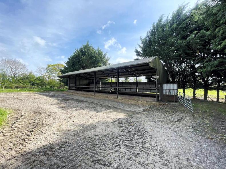 Auction Watch: A preview of the coming week under the hammer Auction Watch: A preview of the coming week under the hammer
