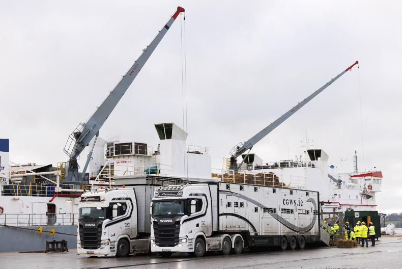 Cattle exports down 15% with weanlings hit hard Cattle exports down 15% with weanlings hit hard