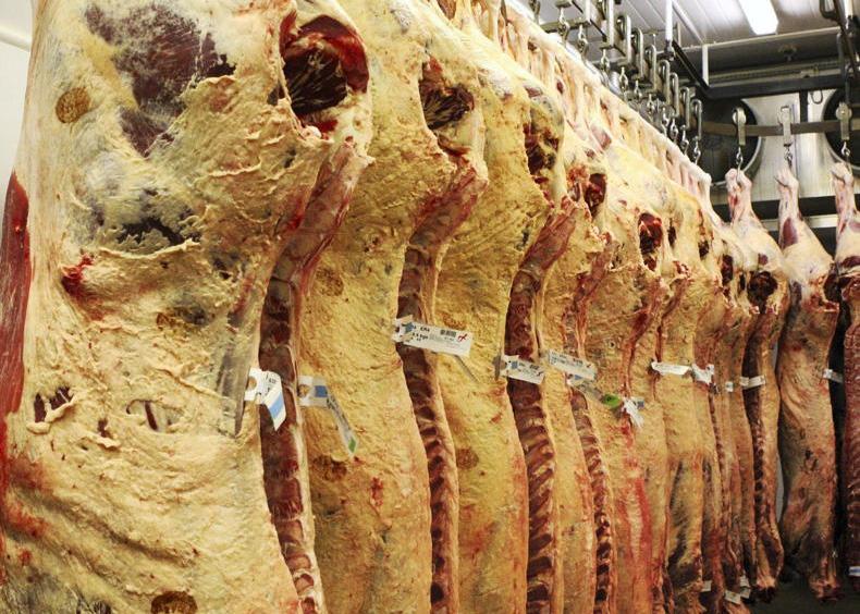 UK imports of Irish beef down in Q1 UK imports of Irish beef down in Q1