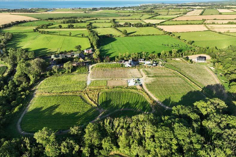 Winery offers a different type of farm vintage in Co Louth Winery offers a different type of farm vintage in Co Louth
