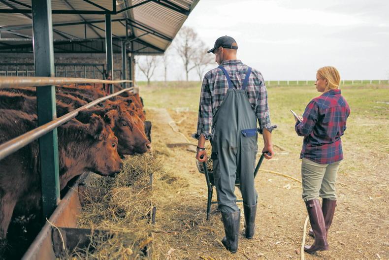 Money Mentor: ‘when should my daughter join the farm business? Money Mentor: ‘when should my daughter join the farm business?
