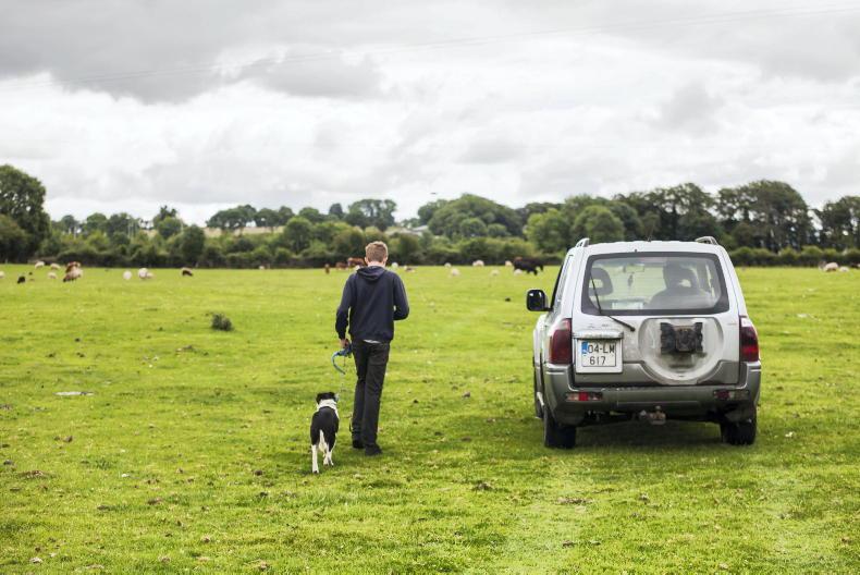 New €5,000 scrappage scheme for old cars and jeeps New €5,000 scrappage scheme for old cars and jeeps