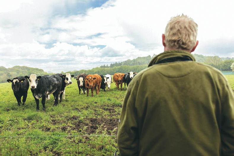 Money Mentor: how can we transfer the farm and avoid a tax bill? Money Mentor: how can we transfer the farm and avoid a tax bill?