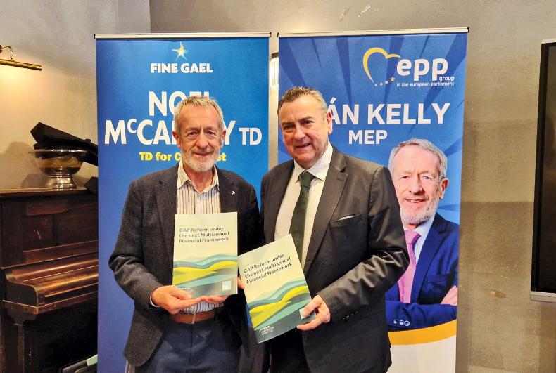 Big landowners in Fine Gael firing line Big landowners in Fine Gael firing line