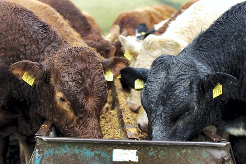 The likely actions in the beef welfare scheme The likely actions in the beef welfare scheme