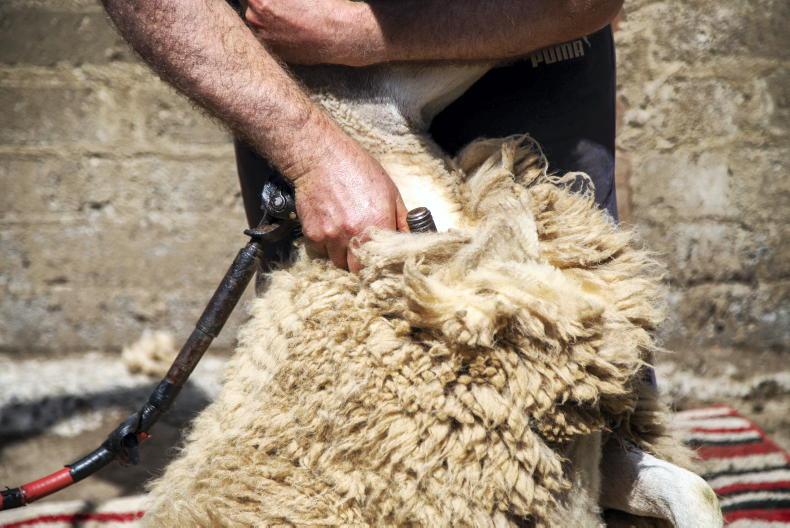 Listen: new project looks at opportunities for wool Listen: new project looks at opportunities for wool