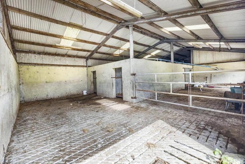 Former Cootehill dairy farm ready for a new direction for €900,000 Former Cootehill dairy farm ready for a new direction for €900,000