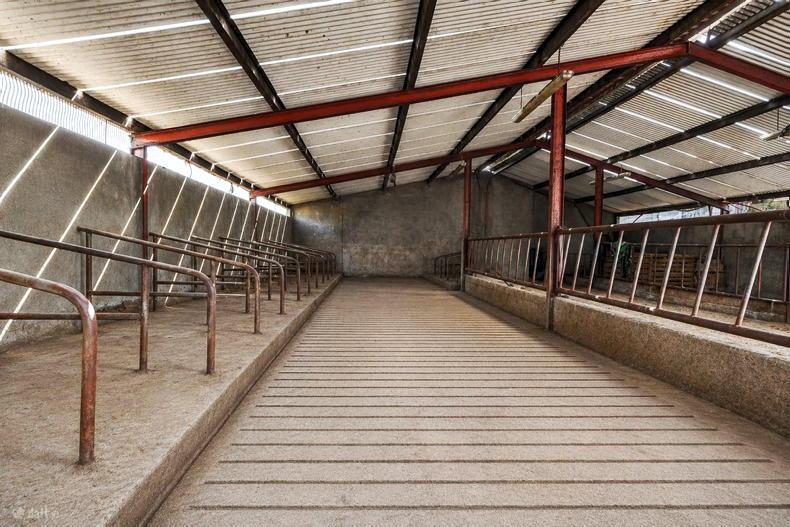 Former Cootehill dairy farm ready for a new direction for €900,000 Former Cootehill dairy farm ready for a new direction for €900,000