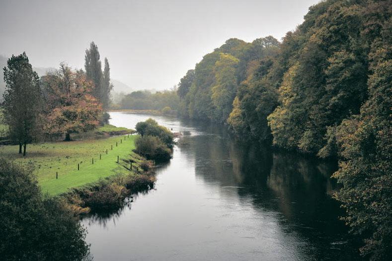 Wild salmon fishermen count costs of IFI changes Wild salmon fishermen count costs of IFI changes