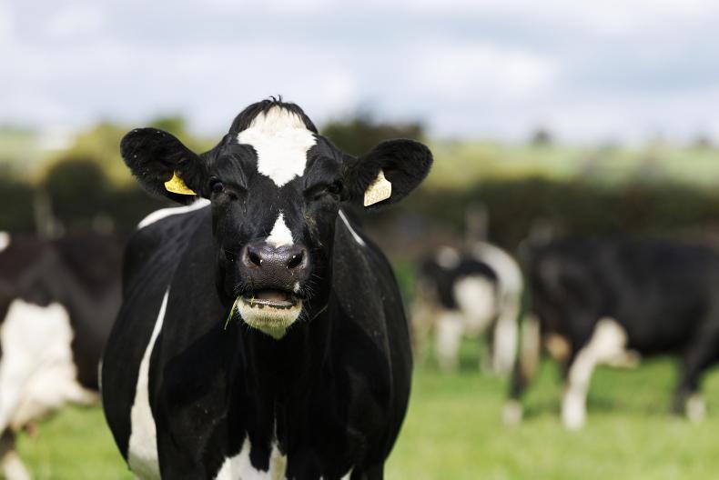 Dairy numbers hit record low in Britain Dairy numbers hit record low in Britain