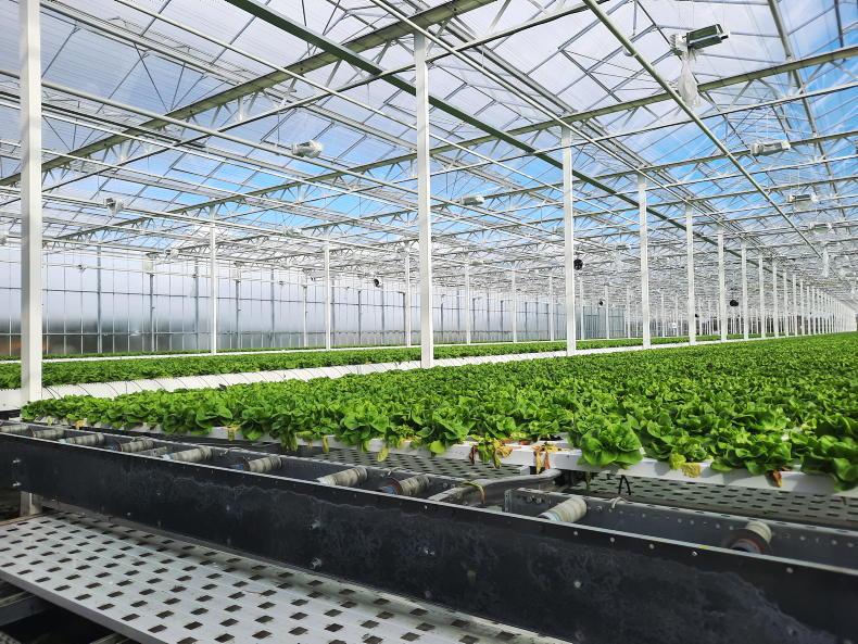 Fuel support scheme for specialist horticulture sector opens Fuel support scheme for specialist horticulture sector opens