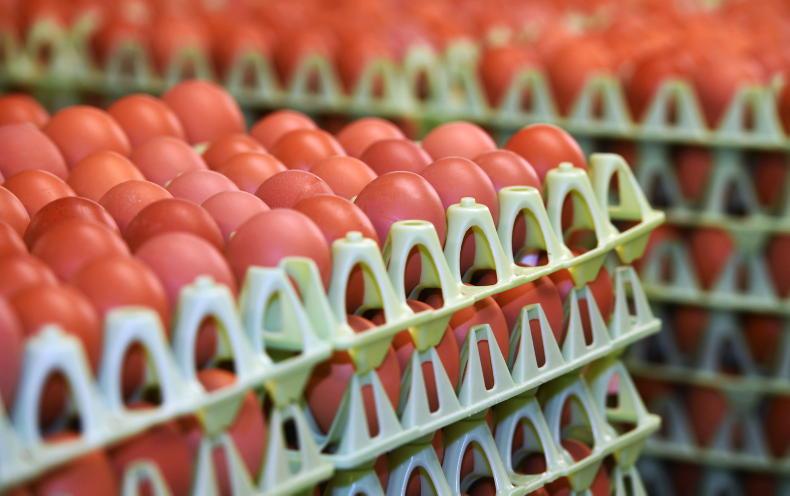 Growth of chicken and pork as the meats of choice Growth of chicken and pork as the meats of choice