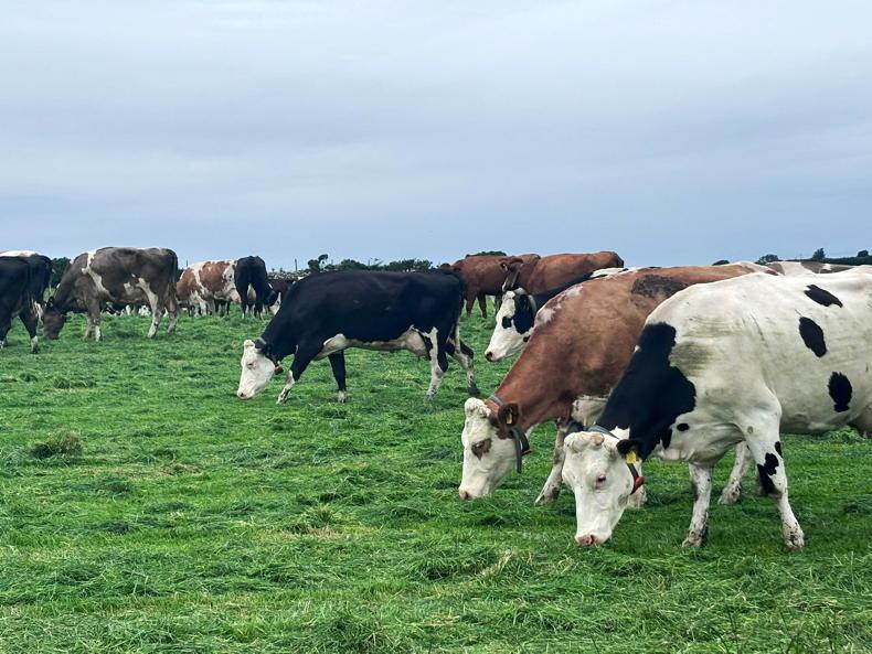 Another difficult year to manage grass Another difficult year to manage grass