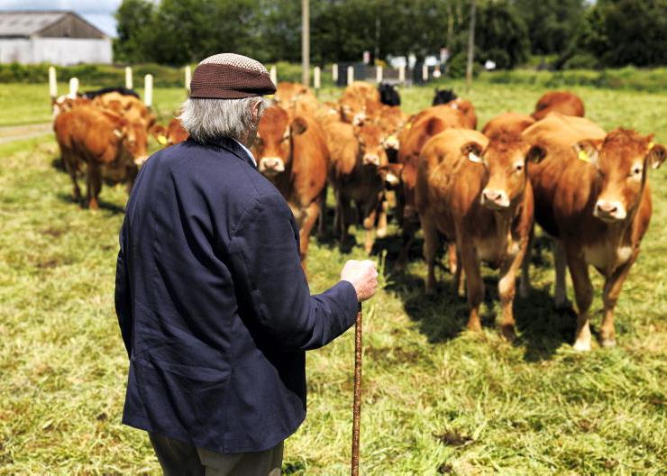 Critical CAP for pensioners and part-time farmers Critical CAP for pensioners and part-time farmers