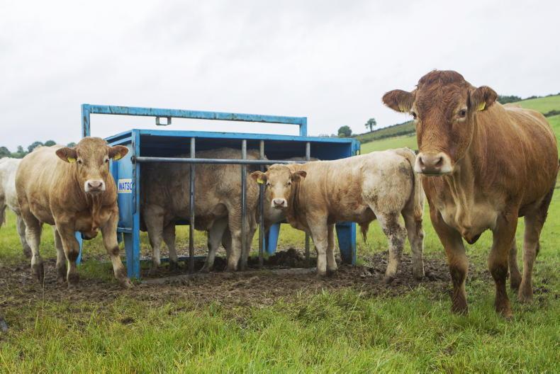 Feeding options pros and cons Feeding options pros and cons