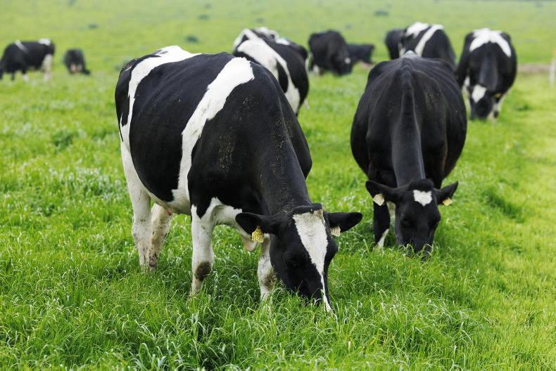 How should farms be managing grass at this time of year? How should farms be managing grass at this time of year?