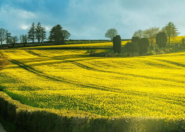 Farmers must shop local, or pay the price Farmers must shop local, or pay the price