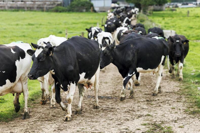 Guidelines to creating new farm roadways Guidelines to creating new farm roadways