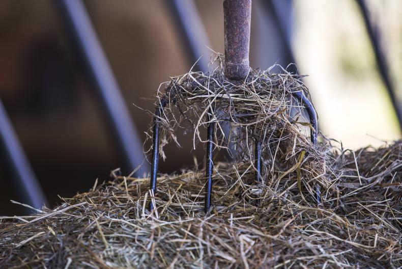 Top non-compliances in farm inspections revealed Top non-compliances in farm inspections revealed