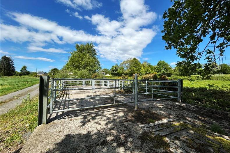 Opportunity on 63.5ac holding runs deep near River Shannon Opportunity on 63.5ac holding runs deep near River Shannon