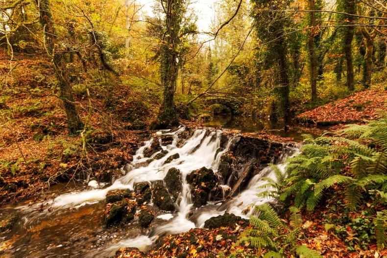 Editorial: more time needed for Nature Restoration Plan engagement Editorial: more time needed for Nature Restoration Plan engagement