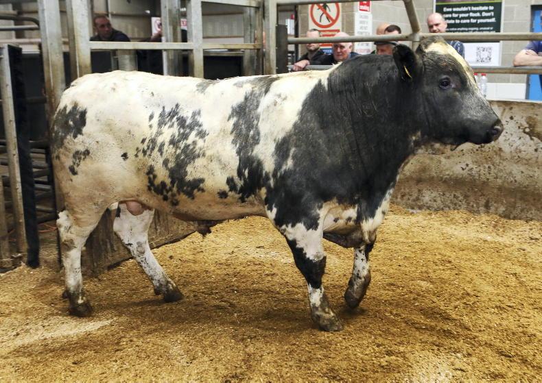 Soft demand is hitting beef prices, says LMC Soft demand is hitting beef prices, says LMC