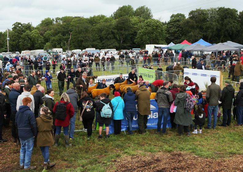 News in-brief from Northern Ireland News in-brief from Northern Ireland