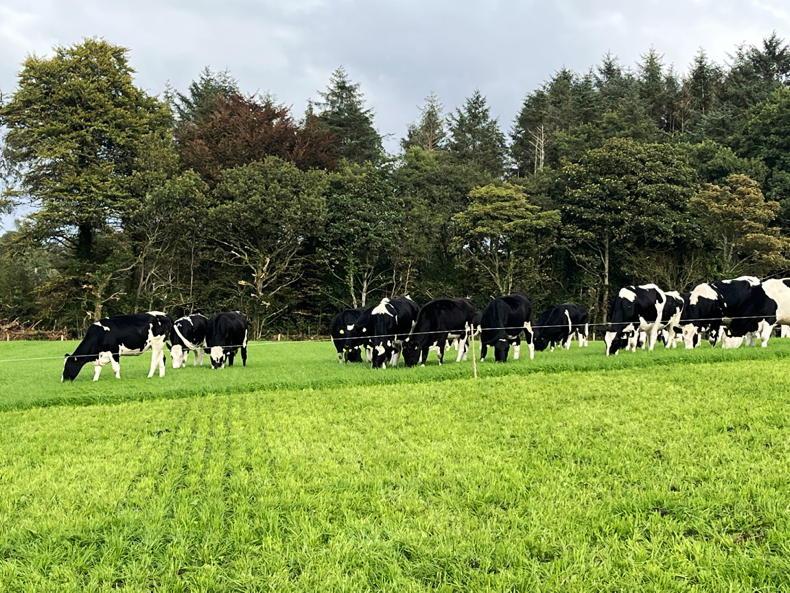 Dairy Management: managing early reseeds Dairy Management: managing early reseeds