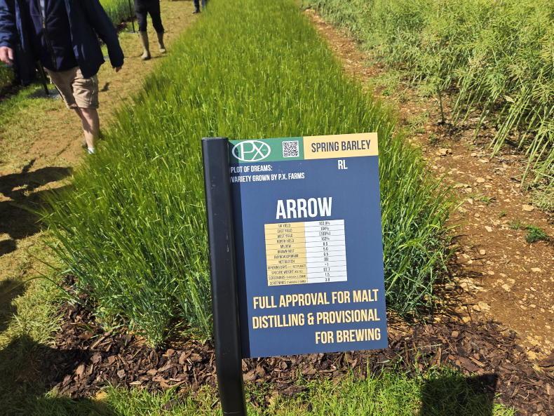 Cereals 2026: varieties, plant protection and Diddly Squat soil Cereals 2026: varieties, plant protection and Diddly Squat soil
