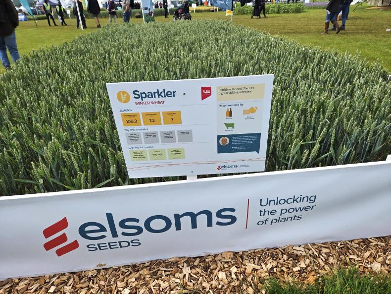 Cereals 2026: varieties, plant protection and Diddly Squat soil Cereals 2026: varieties, plant protection and Diddly Squat soil