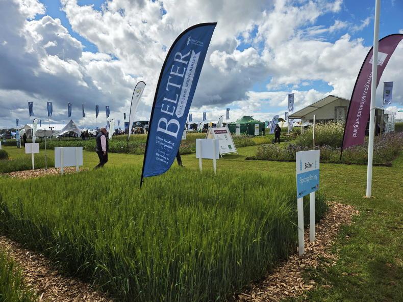 Cereals 2026: varieties, plant protection and Diddly Squat soil Cereals 2026: varieties, plant protection and Diddly Squat soil