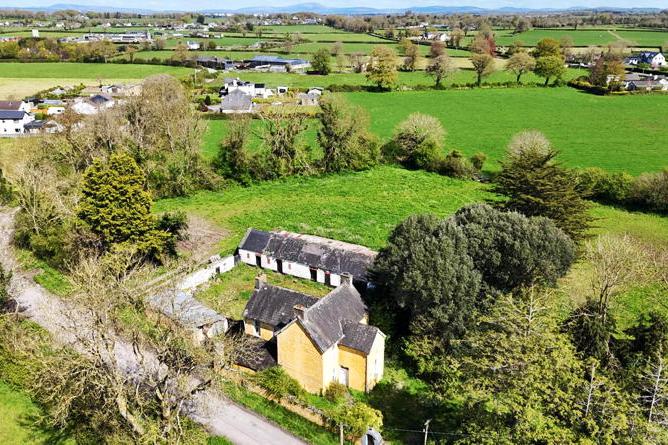 Field day for buyers as July bumper auction nears Field day for buyers as July bumper auction nears