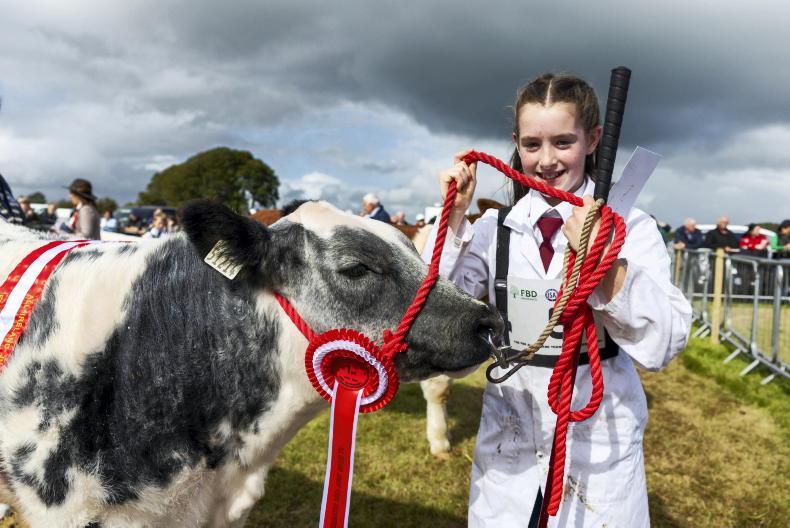 Qualifiers for Young Stockperson and Young Shepherd competitions get underway Qualifiers for Young Stockperson and Young Shepherd competitions get underway