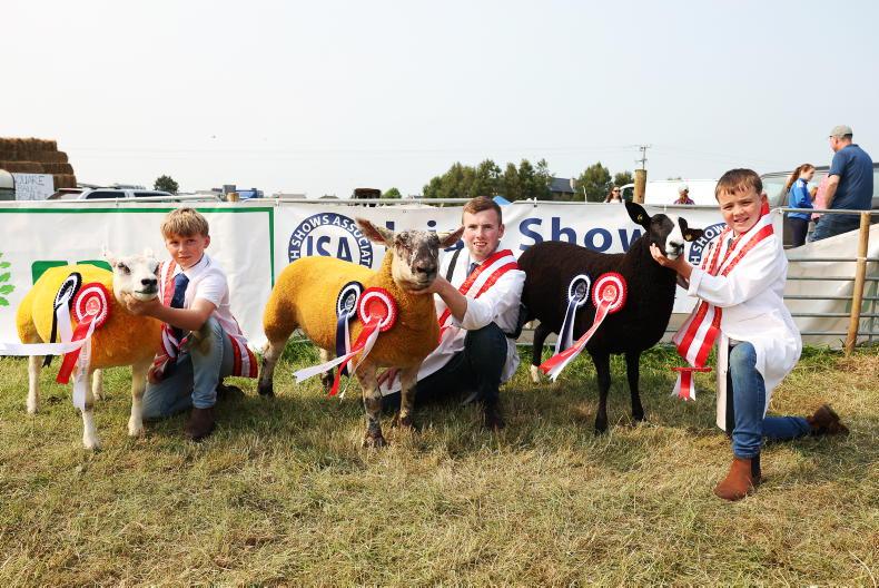 Qualifiers for Young Stockperson and Young Shepherd competitions get underway Qualifiers for Young Stockperson and Young Shepherd competitions get underway