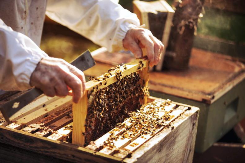 New labelling rules for honey New labelling rules for honey