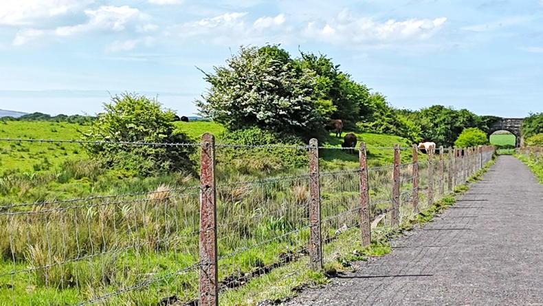 Landowners on Kerry greenway to be fully compensated - IFA Landowners on Kerry greenway to be fully compensated - IFA