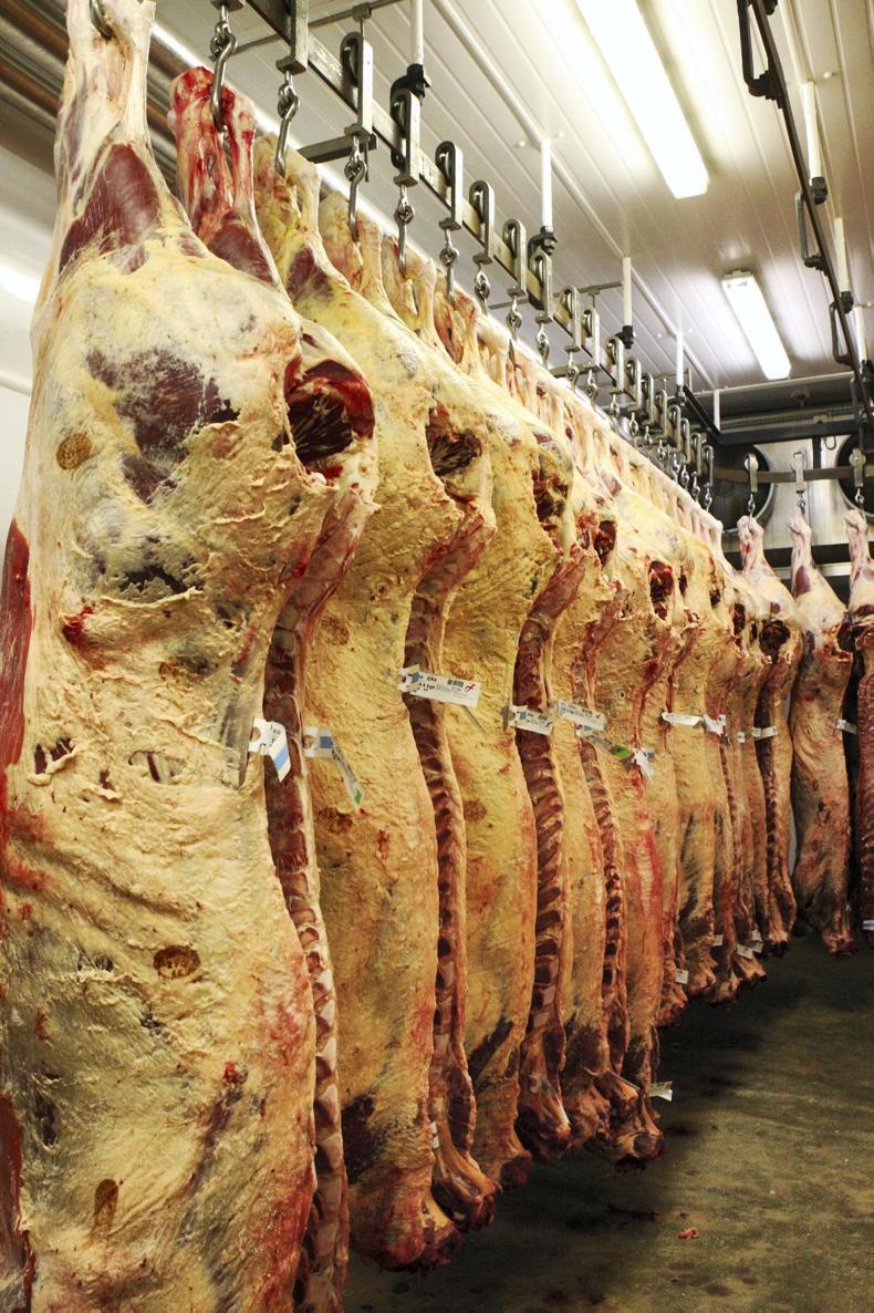 Convergence in global beef prices Convergence in global beef prices