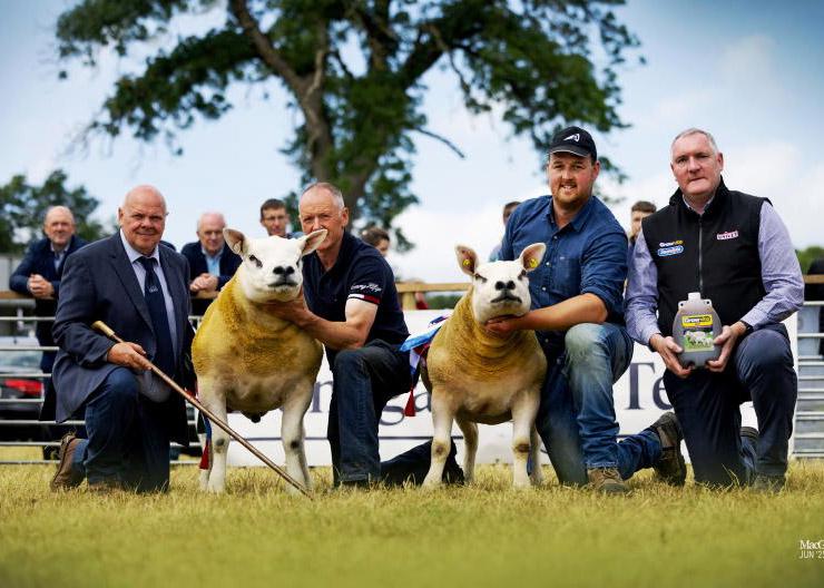 Athlone to host Texel All-Ireland Athlone to host Texel All-Ireland
