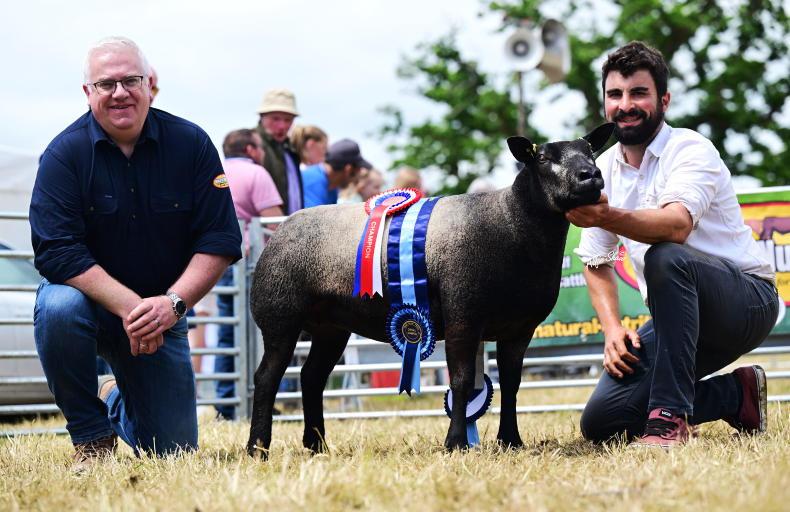 Diamond pair dazzle in Dundalk Diamond pair dazzle in Dundalk
