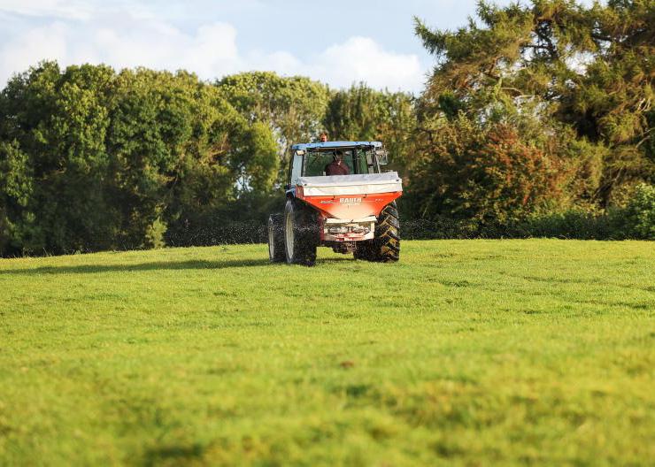 Dairy management: Grass shortages and reseeds Dairy management: Grass shortages and reseeds