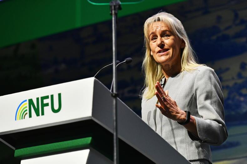 The tough task of being a farming leader The tough task of being a farming leader
