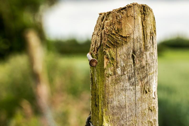 320,000ha in BISS opt not to meet active farmer check through stocking rate 320,000ha in BISS opt not to meet active farmer check through stocking rate
