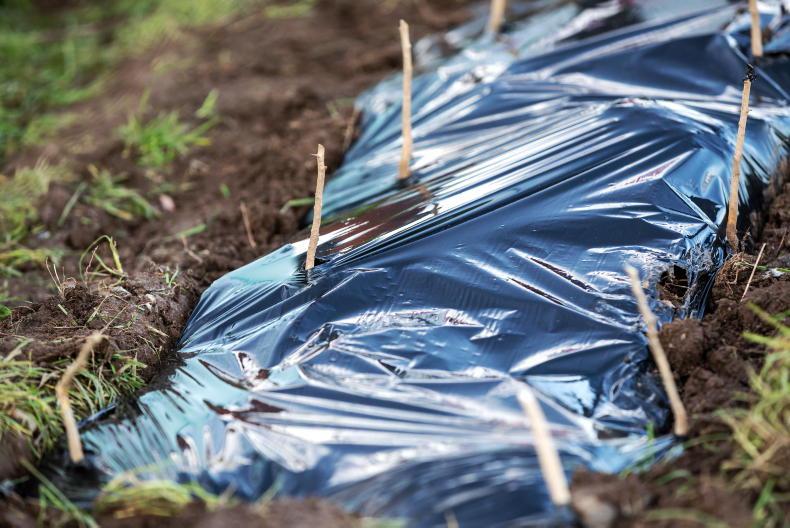 Many unknowns around carbon farming – Minister Many unknowns around carbon farming – Minister