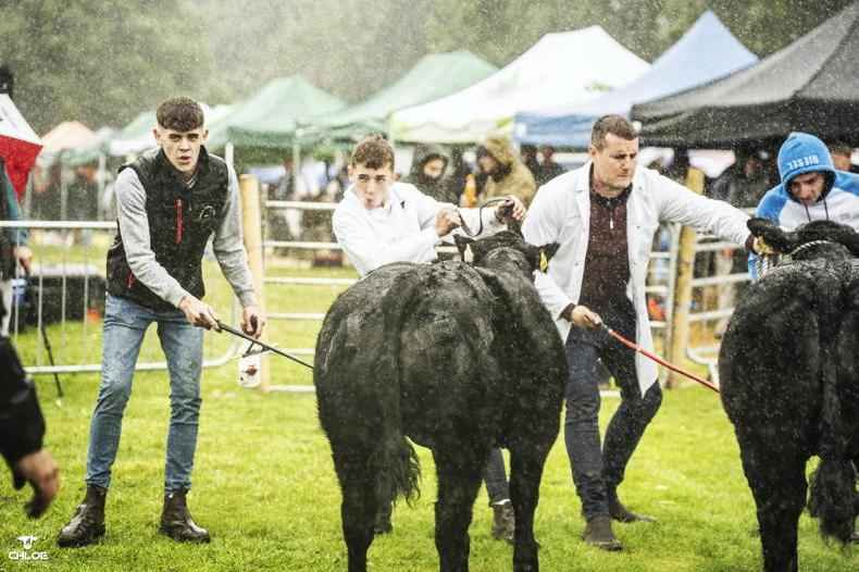 Young blood needed to keep summer ag shows on the go Young blood needed to keep summer ag shows on the go