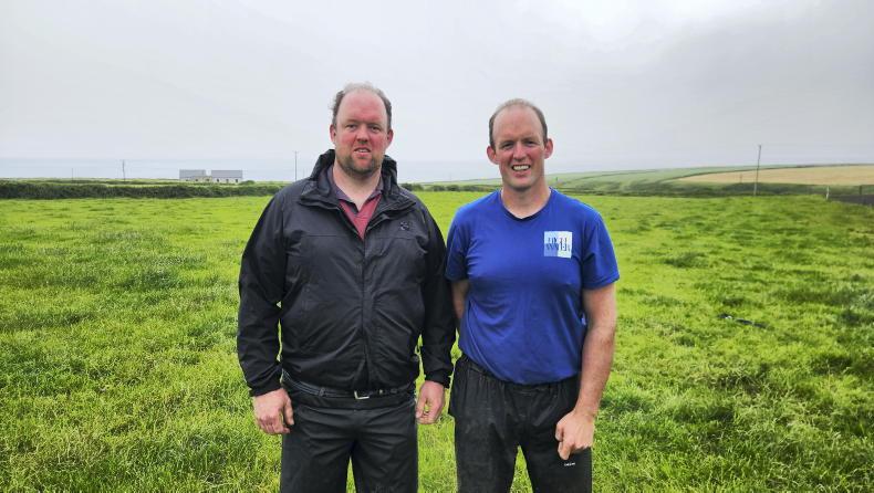 Experience pays off for Kerry brothers Experience pays off for Kerry brothers