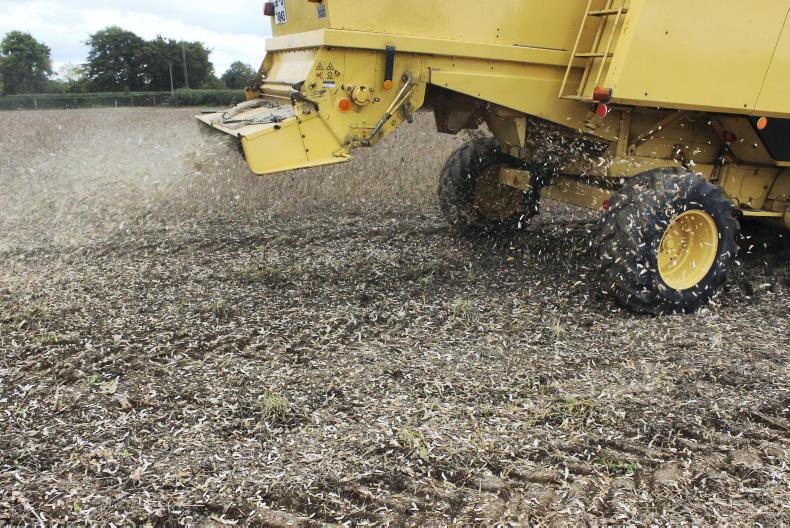 Over 73,000ha entered into straw scheme for 2026 Over 73,000ha entered into straw scheme for 2026