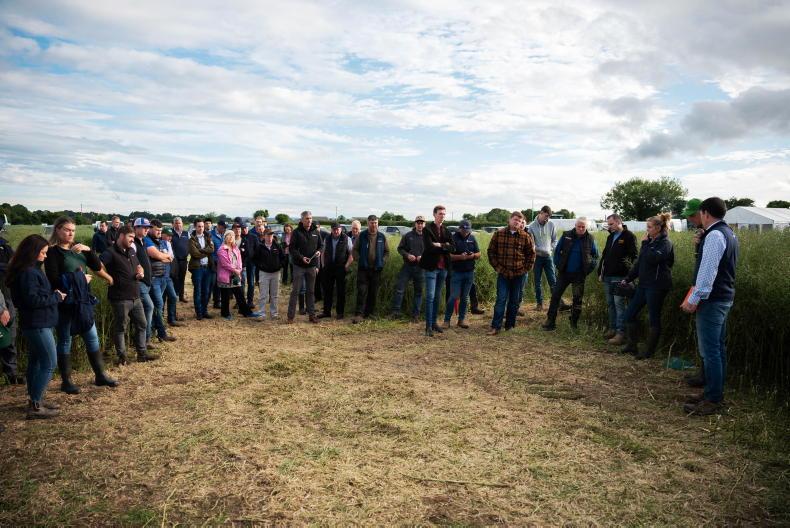 Crop area down 2% in 2026, cereals fall significantly Crop area down 2% in 2026, cereals fall significantly